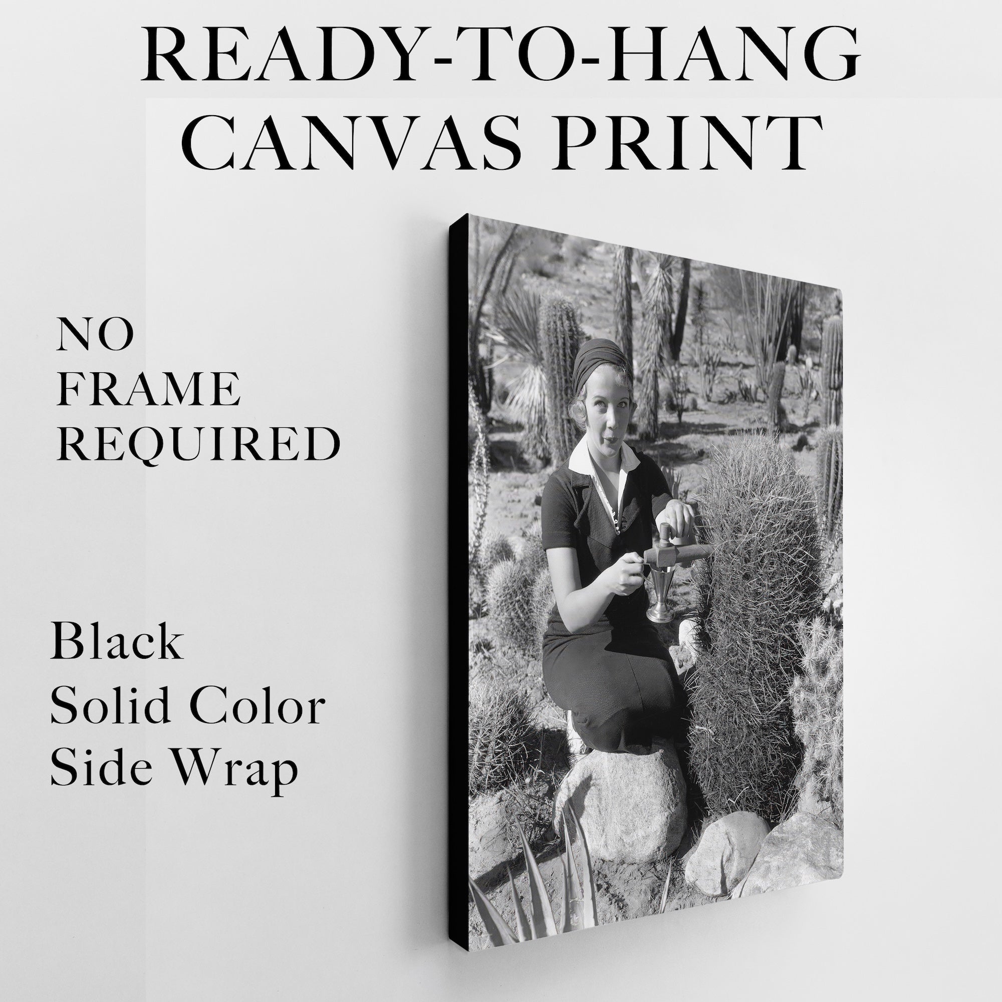 Prohibition in Palm Springs: Spiking the Barrel Cactus - Funny Vintage Black & White Photograph (Art Print)