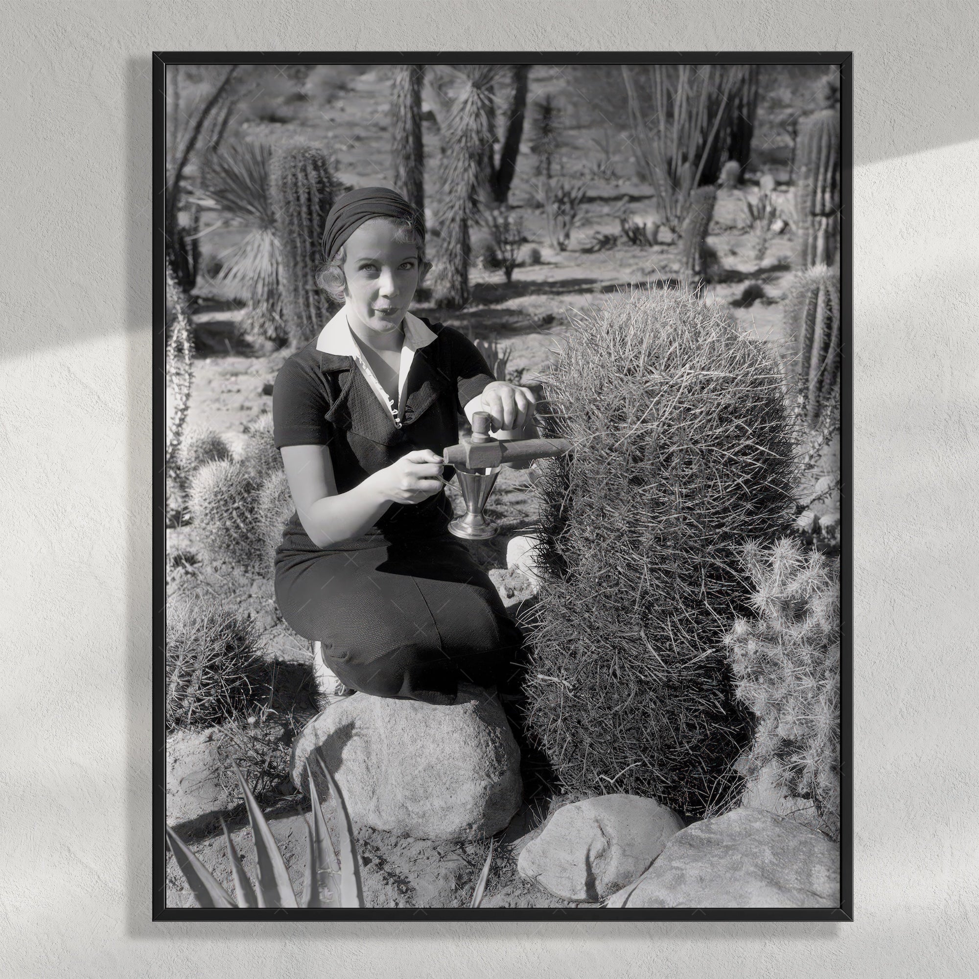 Prohibition in Palm Springs: Spiking the Barrel Cactus - Funny Vintage Black & White Photograph (Art Print)