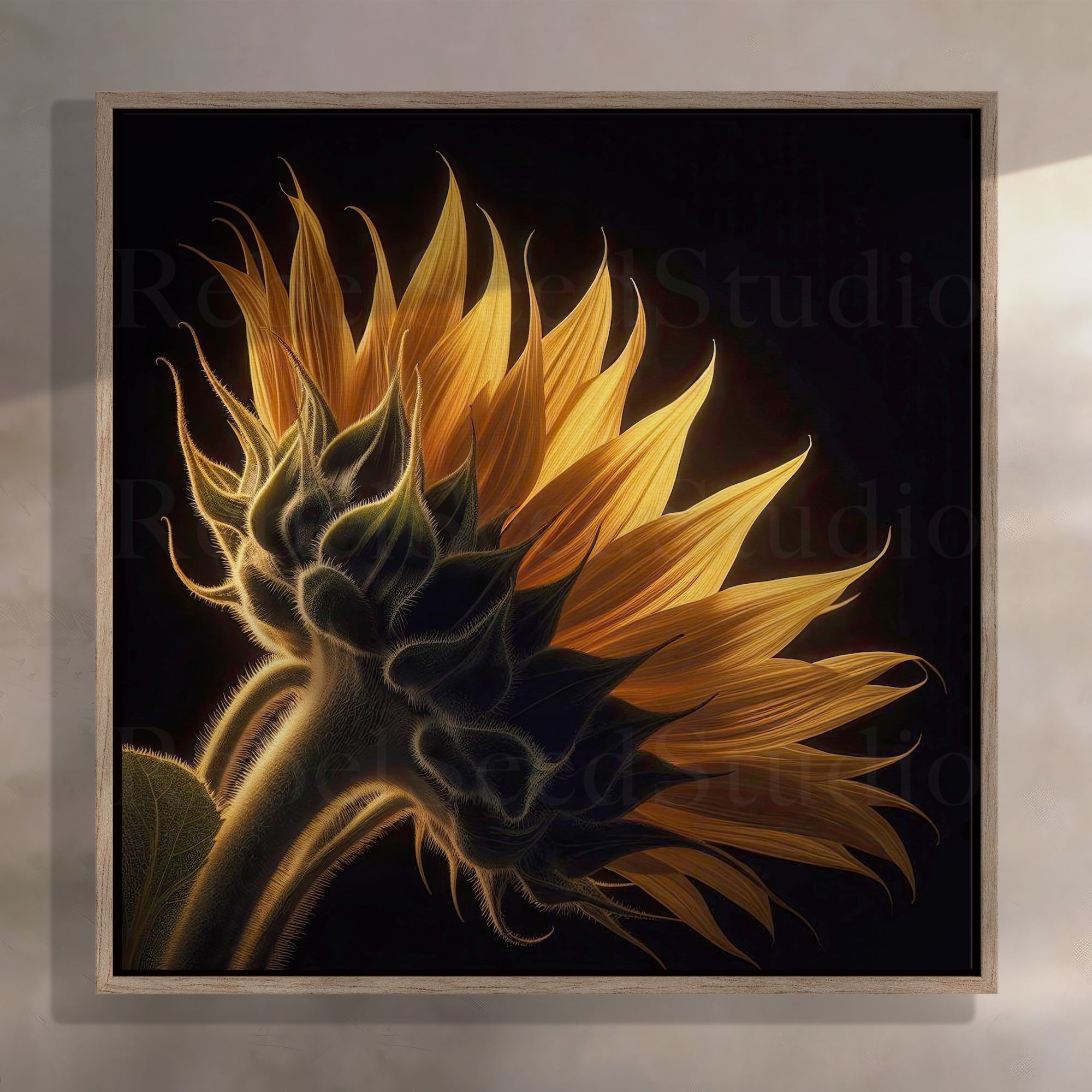 Sunflower: Nature Silhouette (Ready-to-Hang Canvas or Ready-to-Frame Fine Art Poster Print)