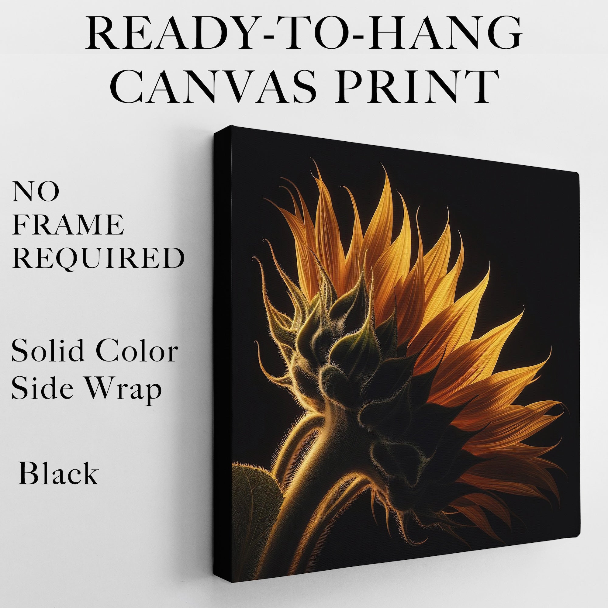 Sunflower: Nature Silhouette (Ready-to-Hang Canvas or Ready-to-Frame Fine Art Poster Print)