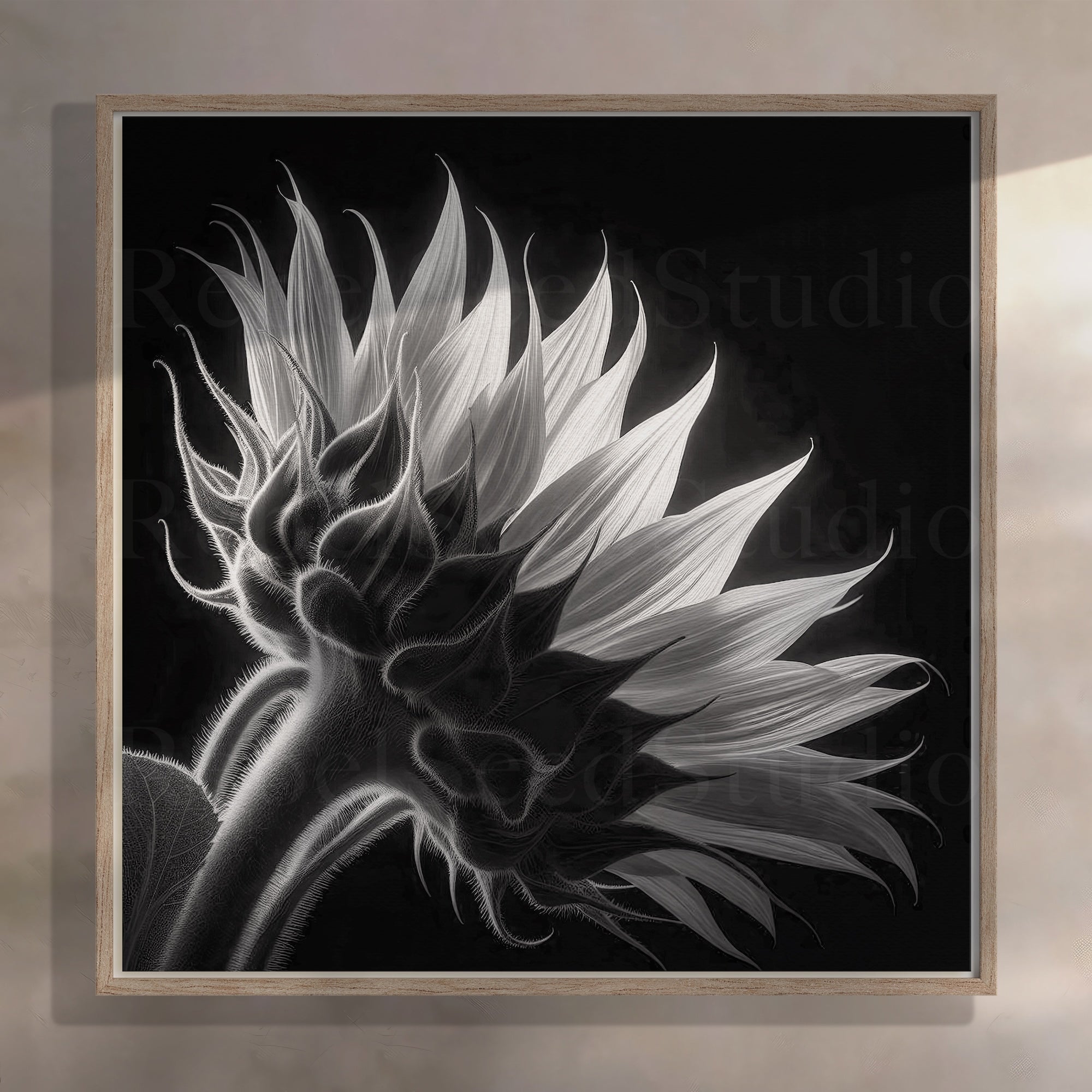 Sunflower: Black & White Nature Silhouette (Ready-to-Hang Canvas or Ready-to-Frame Fine Art Poster Print)
