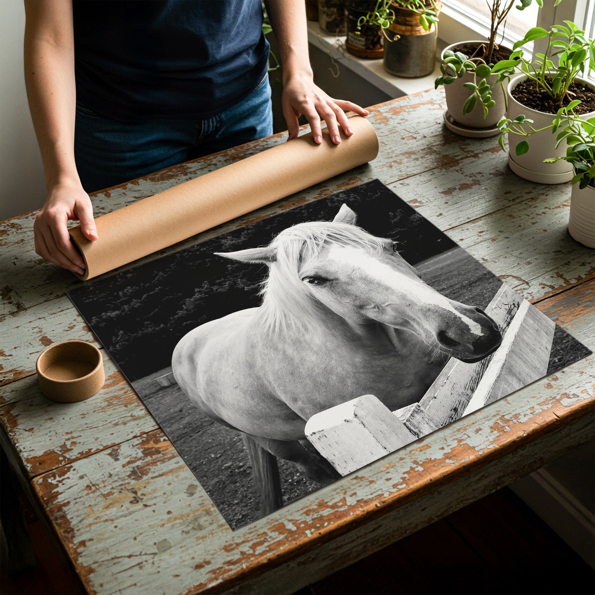 Timid Palomino Horse: Western Black & White Photograph (Art Print)