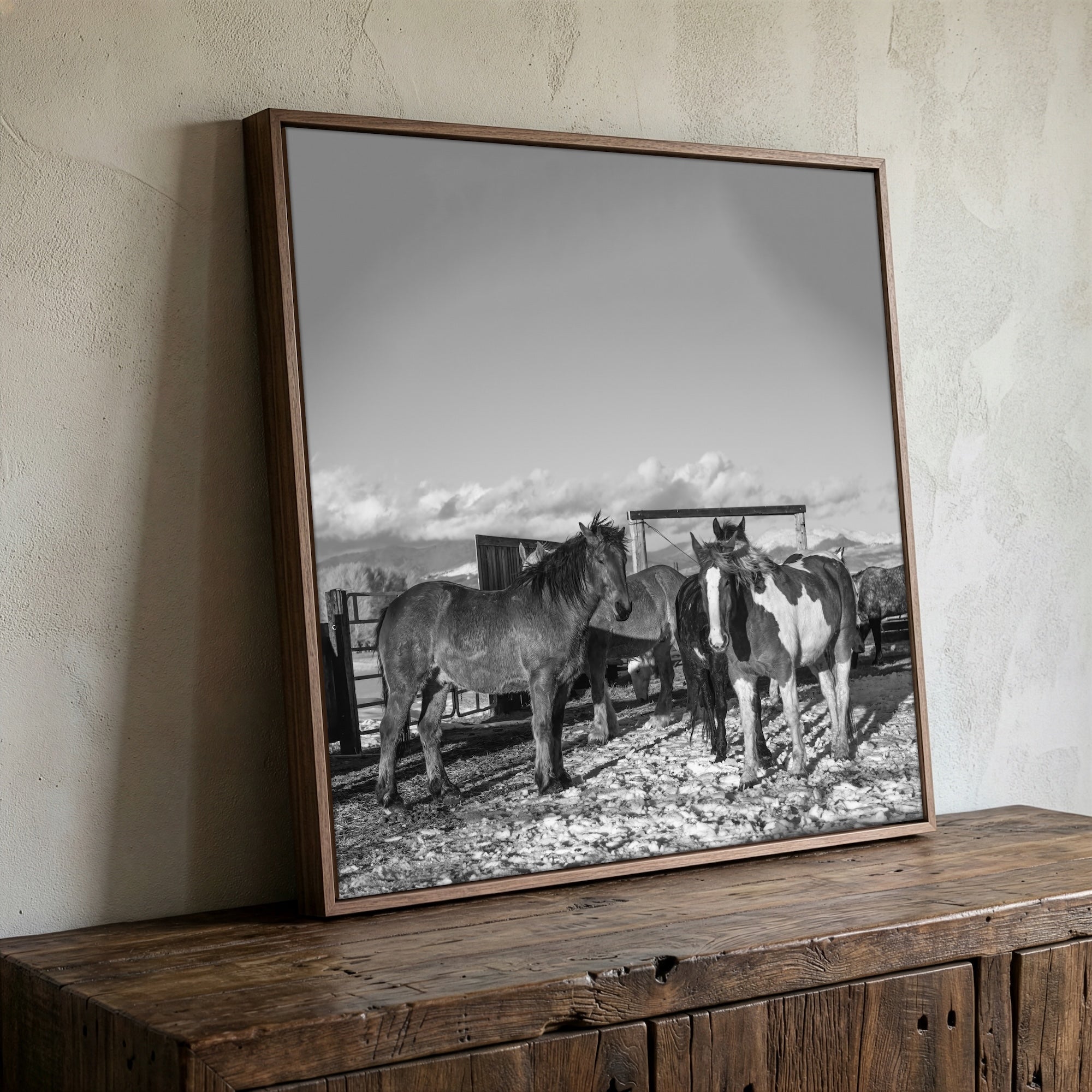 Winter Corral Horses: Western Black & White Photo (Art Print)