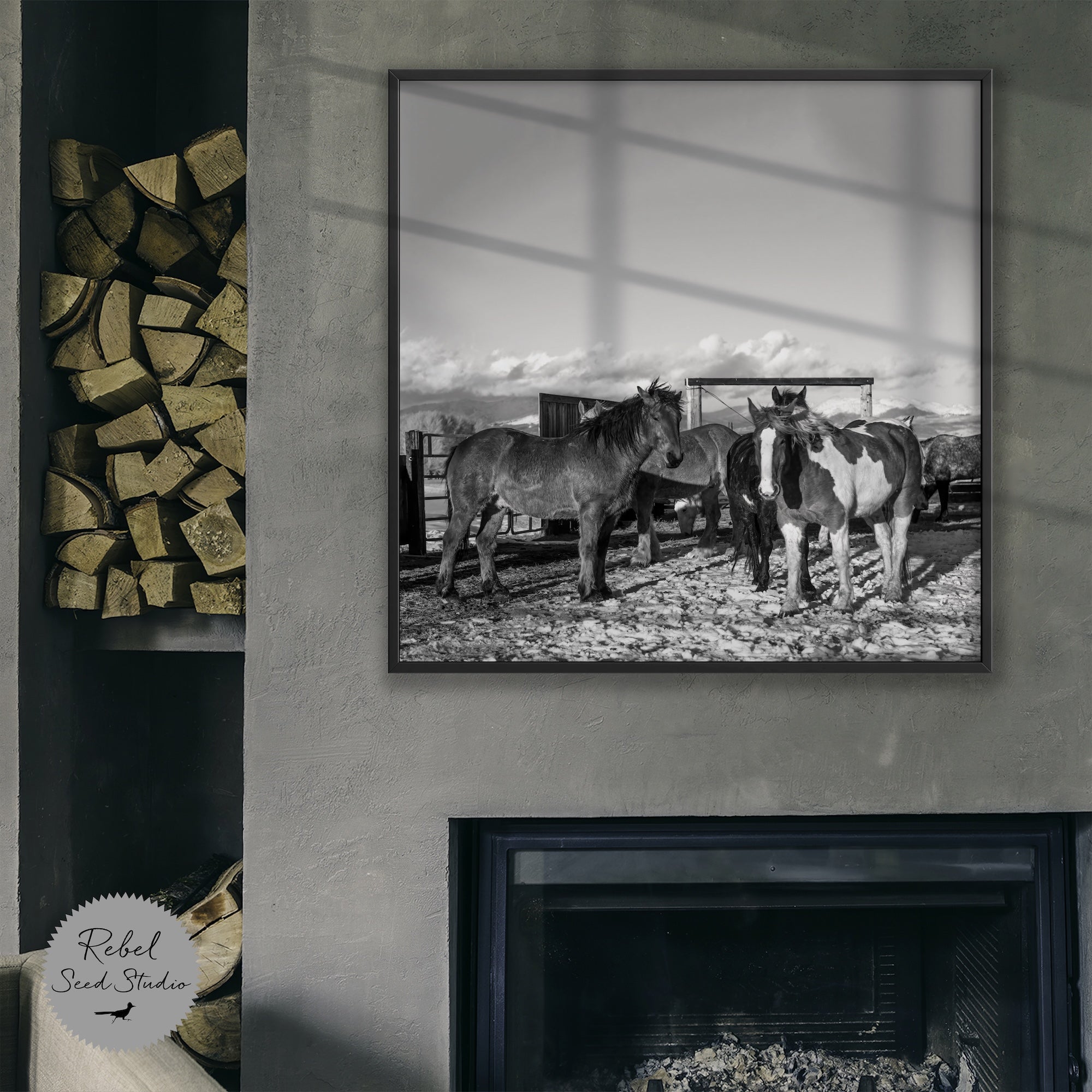 Winter Corral Horses: Western Black & White Photo (Art Print)