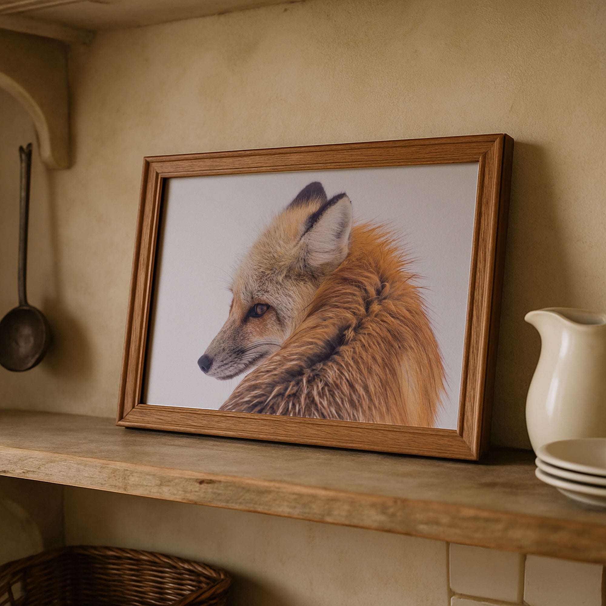 Fox in the Winter Snow: Wildlife Photograph - Western Art Print