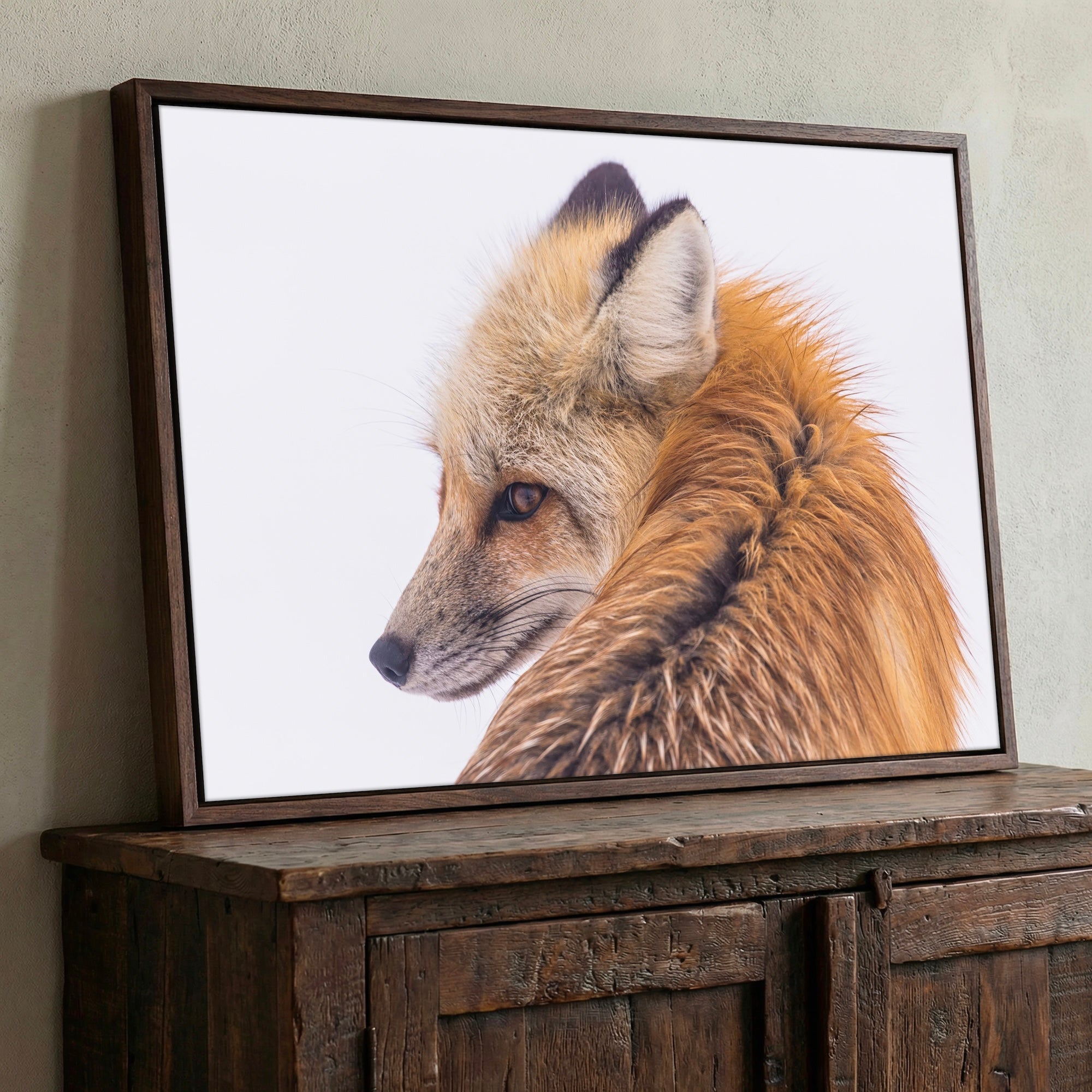 Fox in the Winter Snow: Wildlife Photograph - Western Art Print